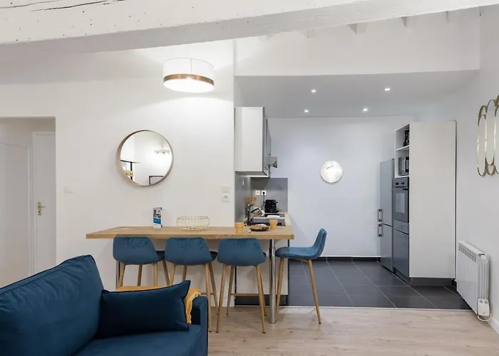 LE NID DU LION - Joli T2 quartier St Georges au calme